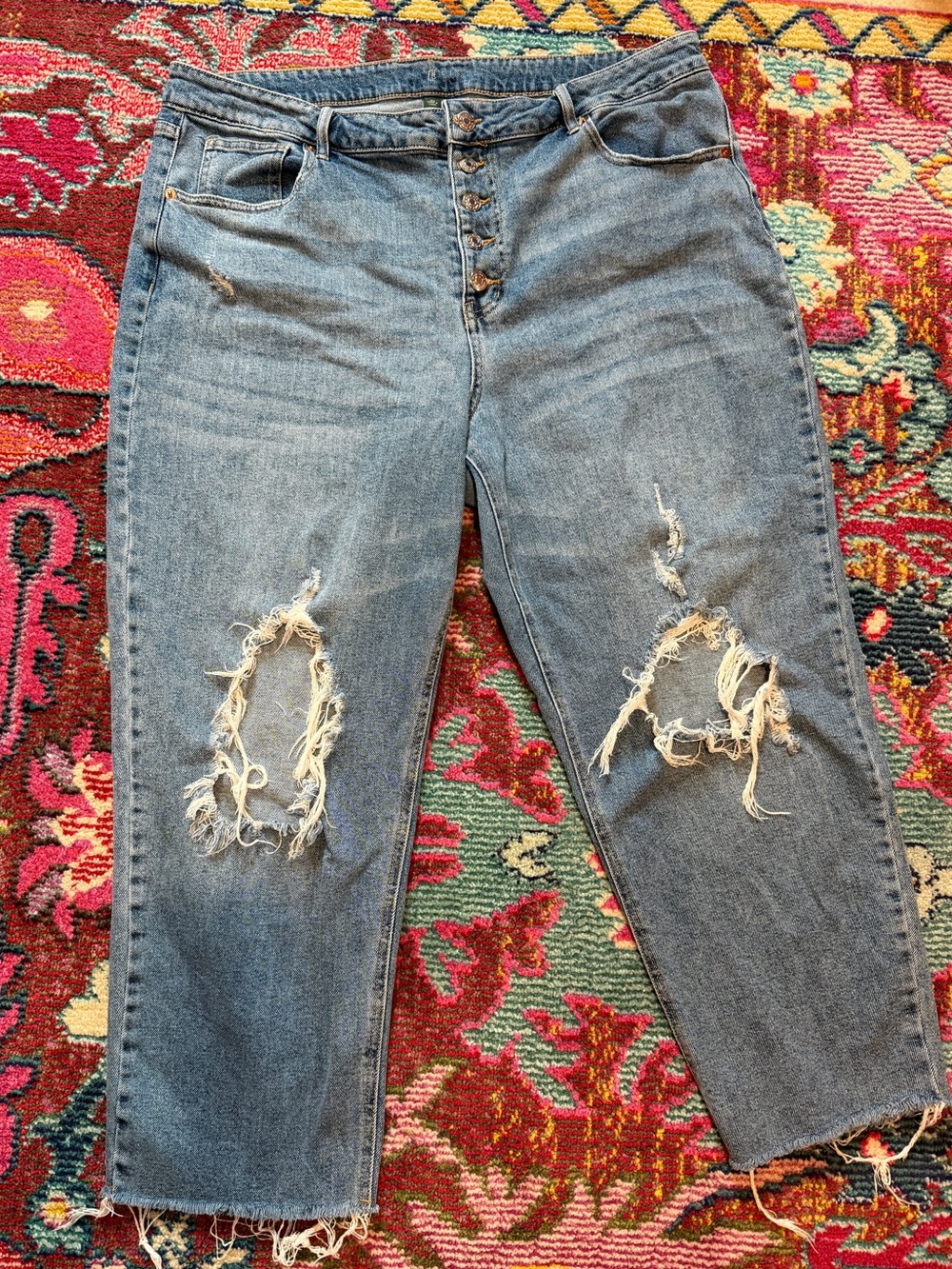 Wild FableDistressed High-Rise Women’s Cropped Jeans